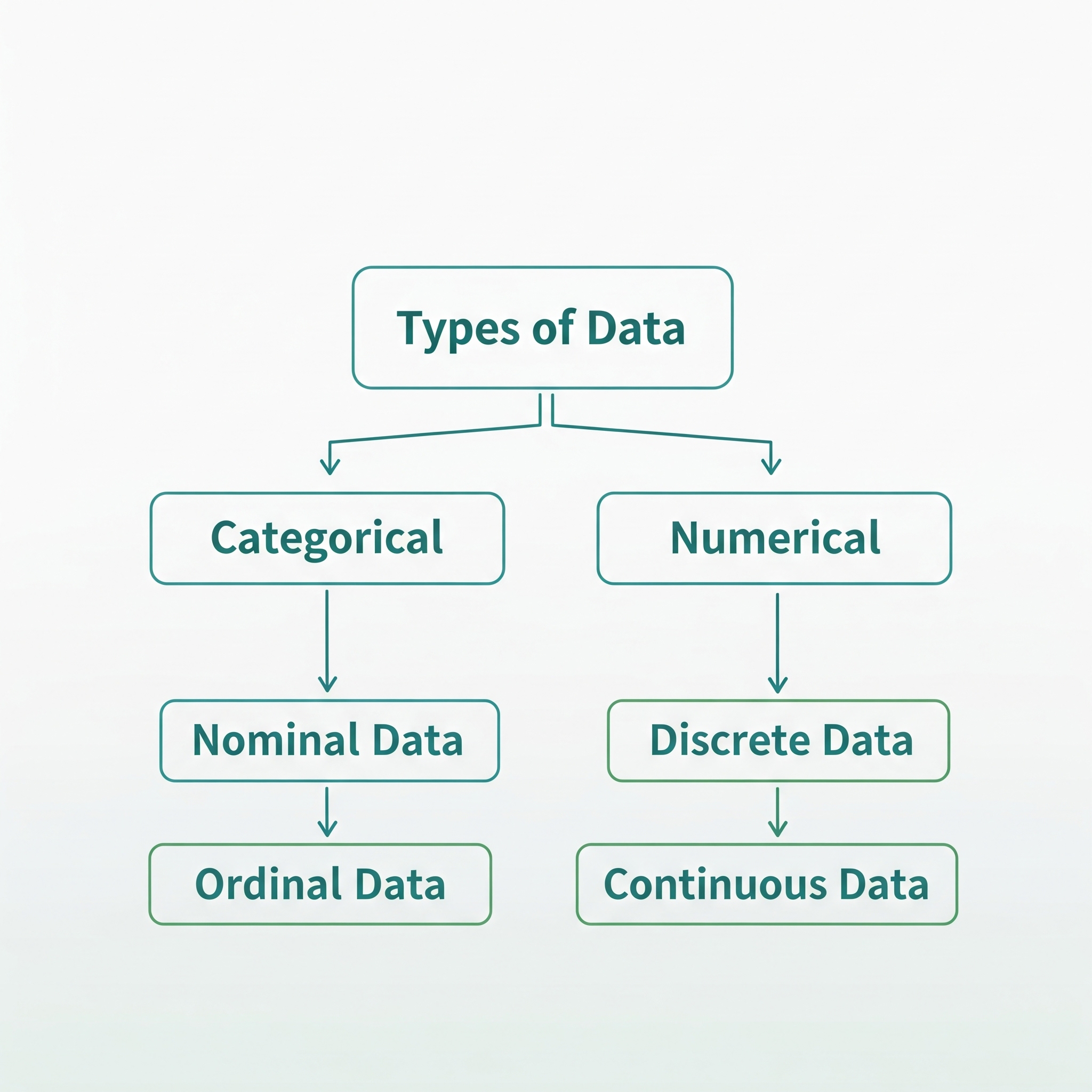 Types of Data